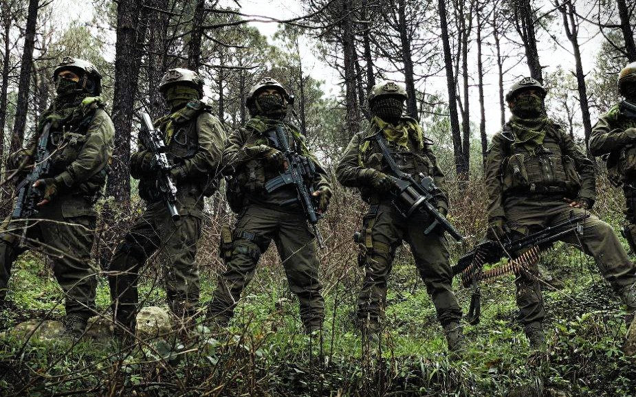 Illustrative photograph: a line of masked personnel in field uniform and equipment standing among pine trees in woodland.